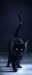drunken_black_cat_on_ice_by_cypherx.jpg